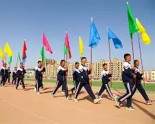 关于赛地聚焦——德国杯今夜热度飙升，巴塞罗那临场应变，细节曝光，训练强度显著提升的信息